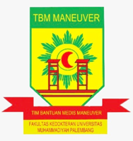 Logo TBM MANEUVER