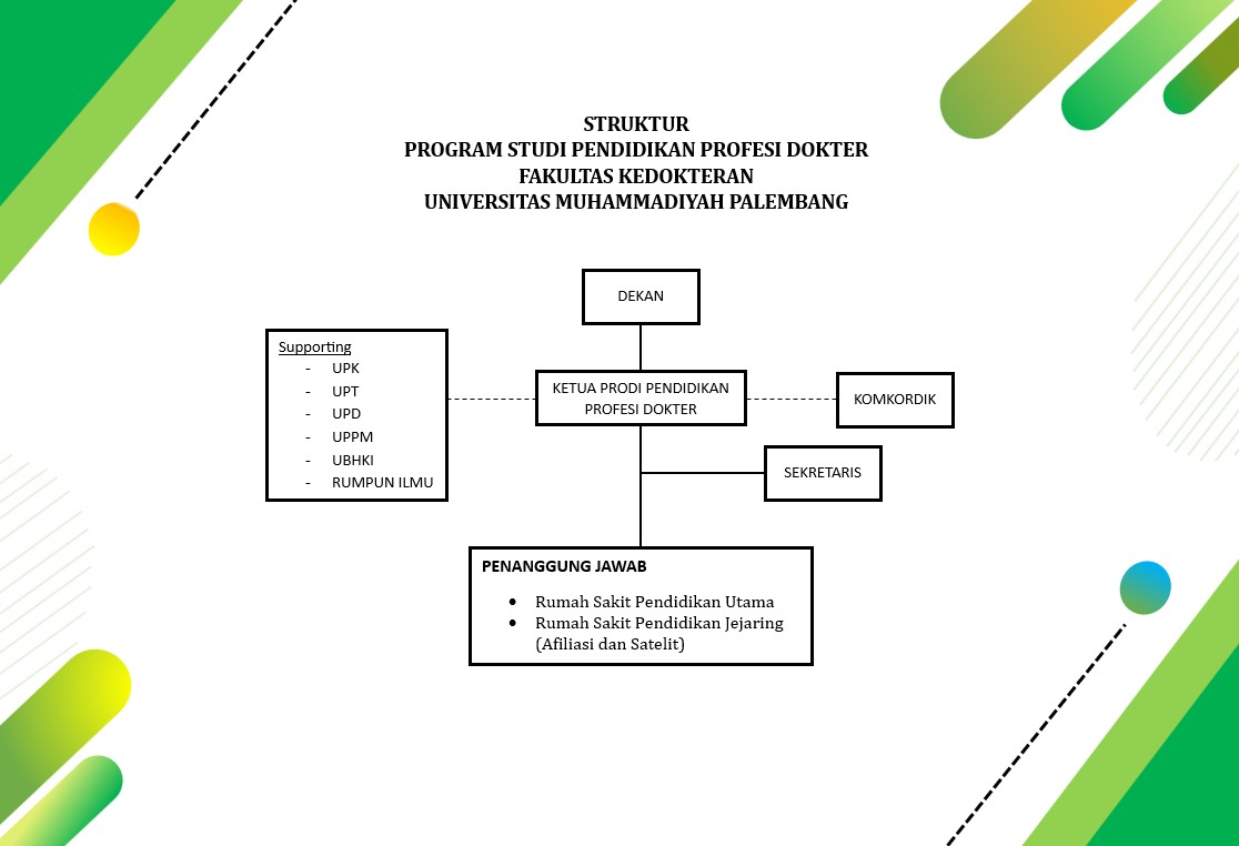 struktur prodi pendidikan profesi 2